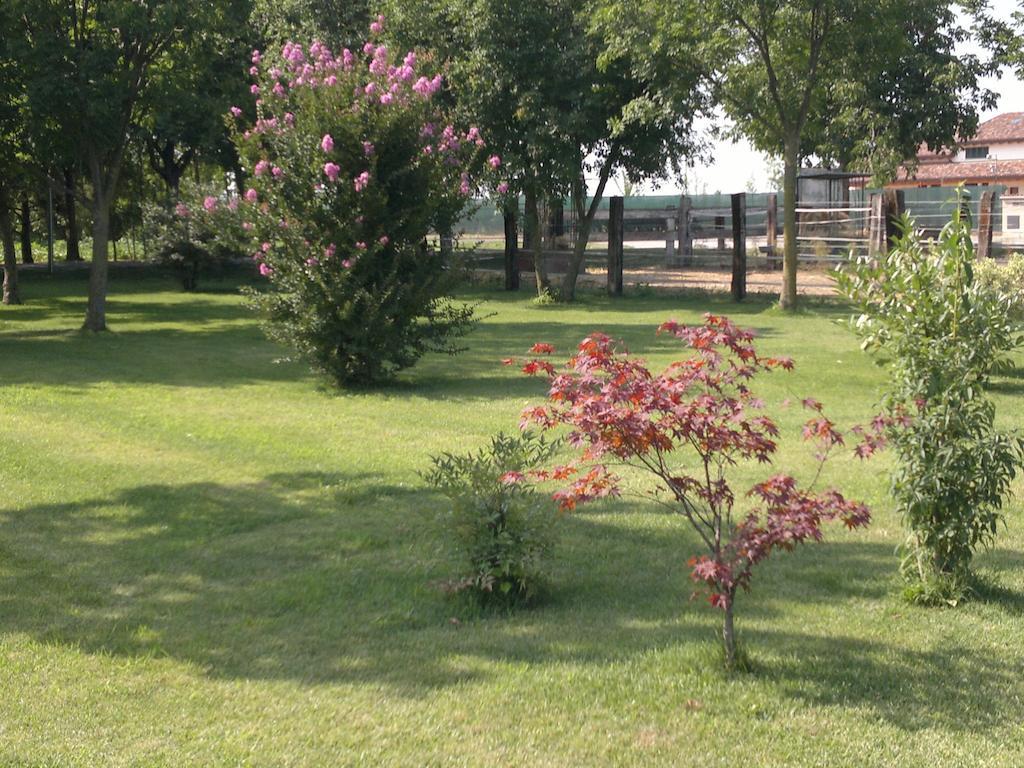 Agriturismo Arte Contadina Fiorenzuola dʼArda Εξωτερικό φωτογραφία